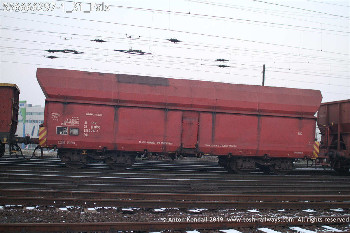 556666297-1_31_Fals.JPG